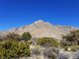 Guadalupe Mountains National Park 