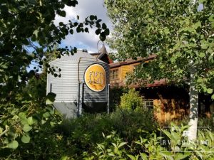 Restaurant Review Fiftyfifty Brewing Company